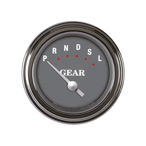 SG Series 2 1_8_ Gear Indicator SG07SLF